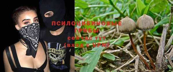 ГАЛЛЮЦИНОГЕННЫЕ ГРИБЫ Балабаново
